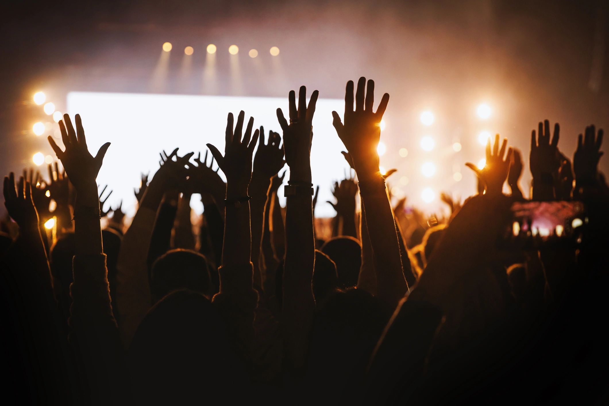 Crowd enjoying live music at an outdoor festival